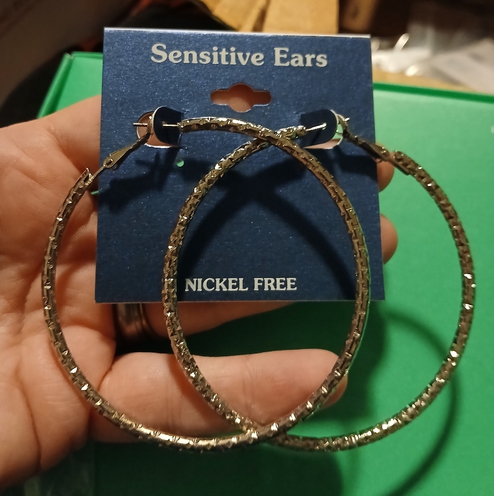 Elegant Silver Hoop Earrings